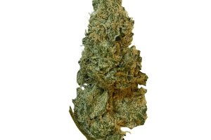 Medicus 27/1 EZA GMO